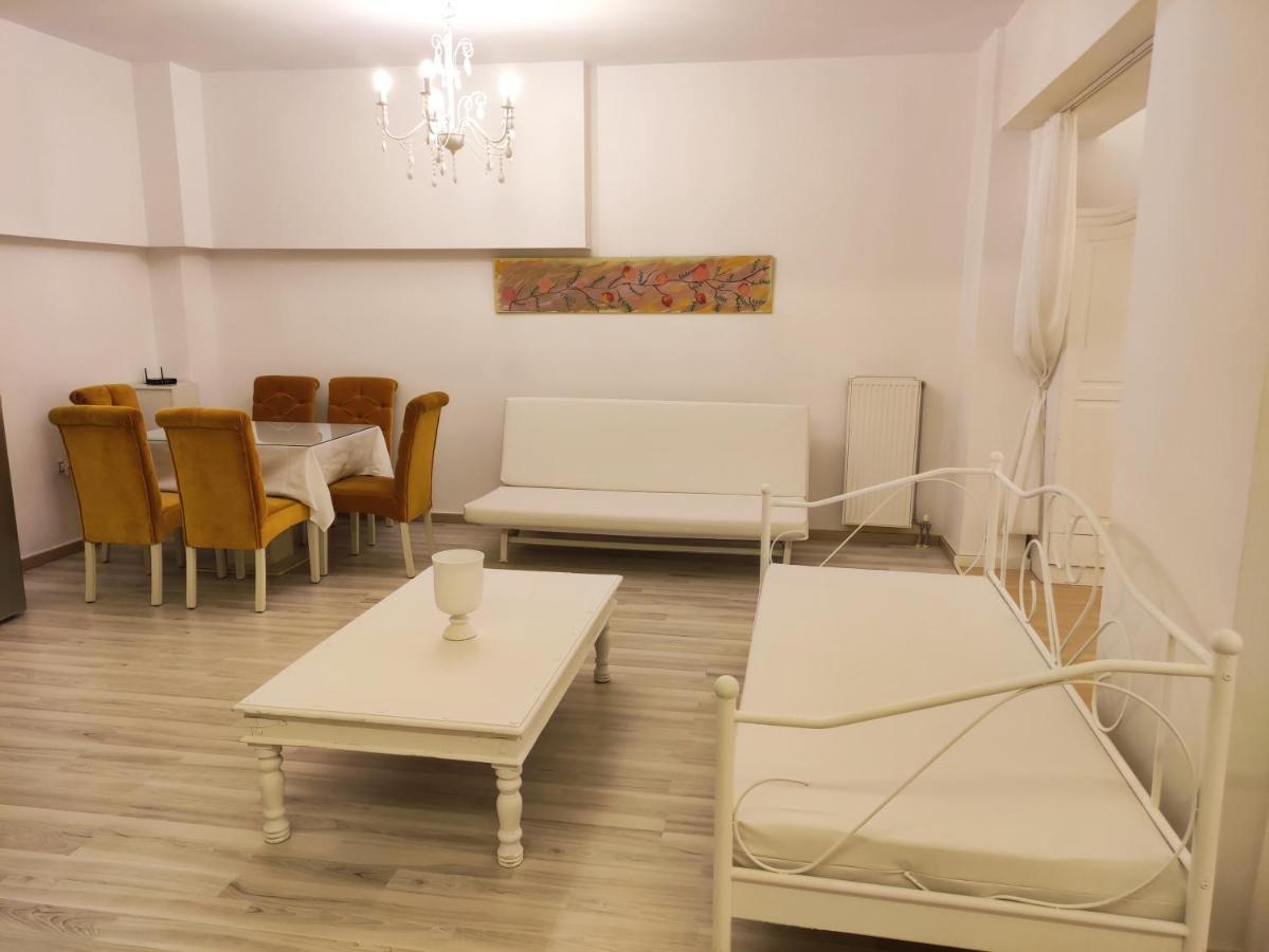 Superior Chic Family Apartment Kalampáka Luaran gambar